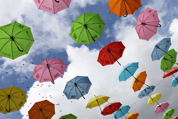 'Celebrate the Rain' by Janet Rutter, Devizes & District u3a